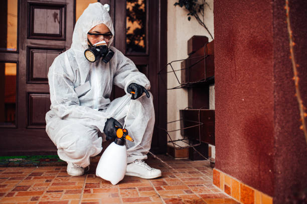 Reliable Wasp Removal contractor in Farmingdale, NY by Show Me Pest Control